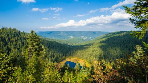 Wellness im Bayerischen Wald