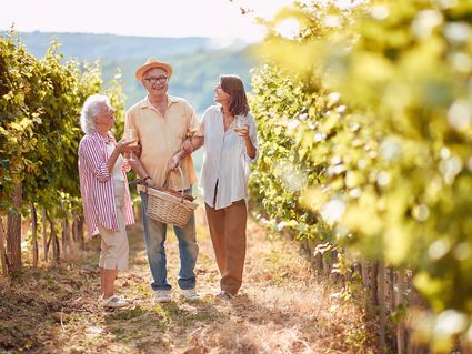 Fränkisches Weinland und Würzburg Special