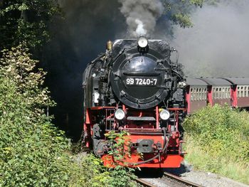 5 Tage Natur pur  inkl. Bahnfahrt auf den Brocken