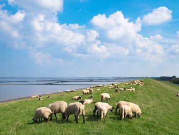 4 Tage Kurzurlaub an der Nordsee