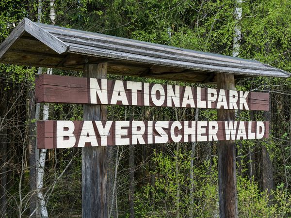 2 Tage umgeben vom Bayerischen Wald mit Frühstück in Spiegelau, Bayern inkl. Frühstück