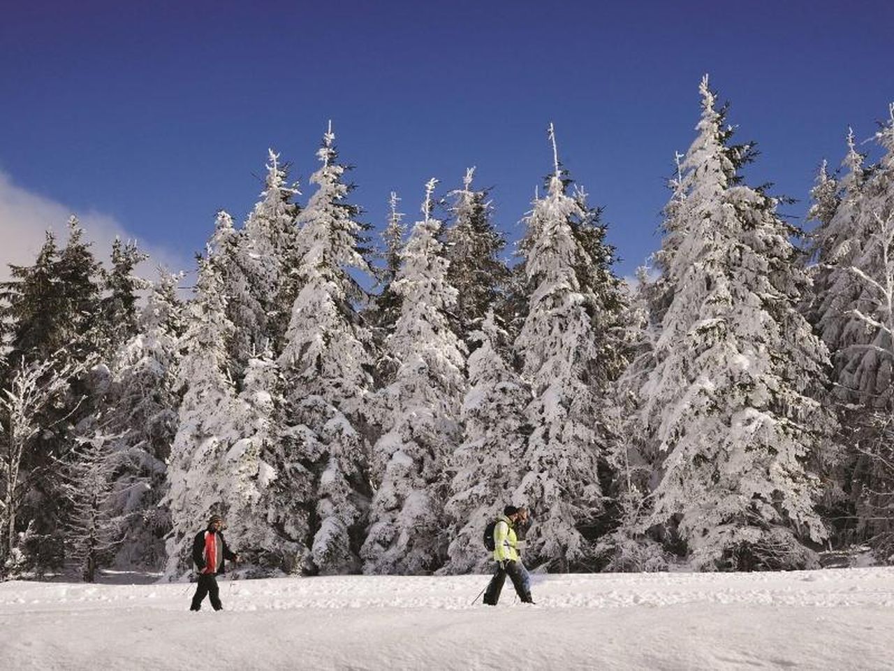 8 Tage am Titisee im Schwarzwald