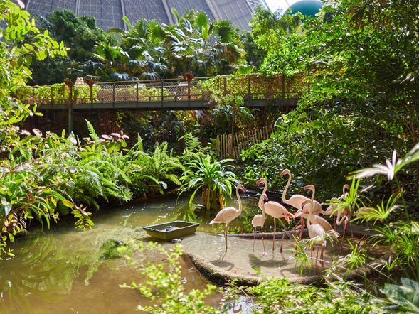 Tropical Islands - Zelte