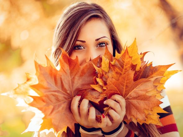 Mühlenzauber - Goldener Herbst in der Lewitz