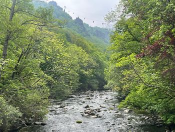 Jahresausklang im Harz / 6 Tage