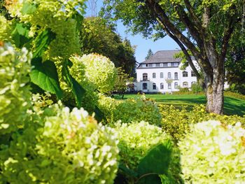 Happy Siegen - 3 Tage Kleine Siegerland Auszeit