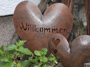 Bild 17 von 29