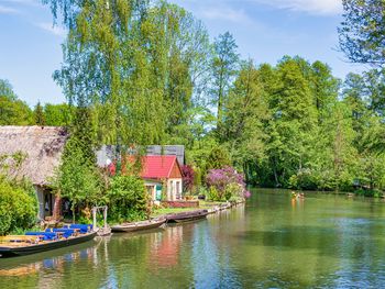 6 Tage Wellness mit Tagesaufenthalt Spreewald-Therme