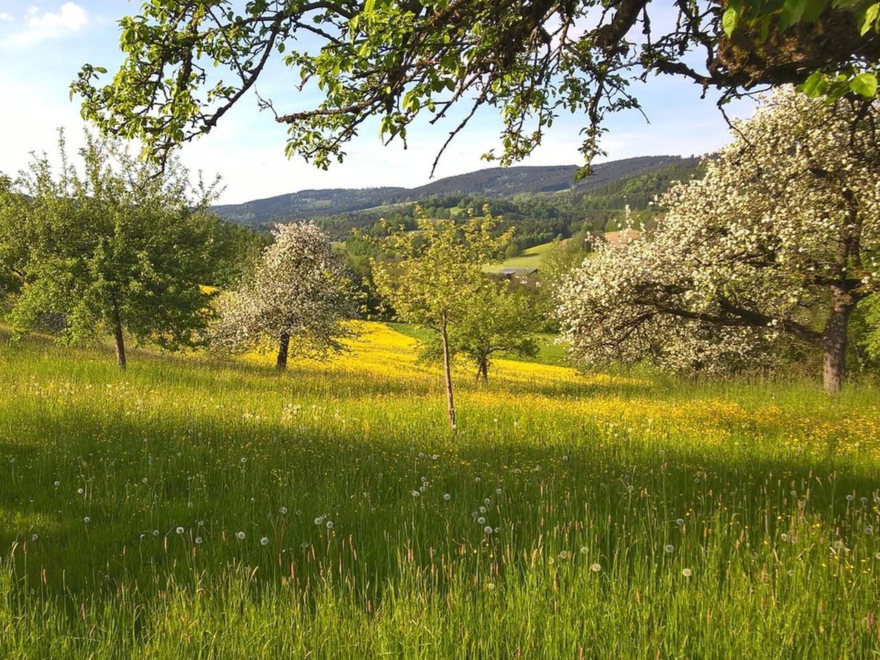 Wein, Wellness und Genuss / Gaumenschmaus & Saunaduft