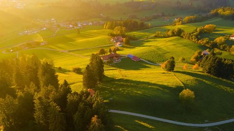 Allgäu