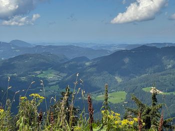 Bild 24 von 26