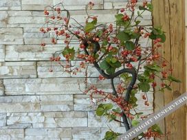 2 Tage in den bayerischen Alpen mit Frühstück