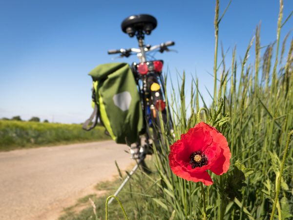 5 Tage Grünes Herz Ostwestfalens-Radler-Eldorado | 6 Tg. in Gütersloh, Nordrhein-Westfalen inkl. Frühstück