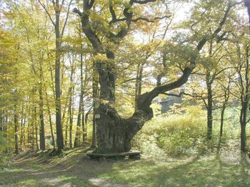 Wandertage Rhön