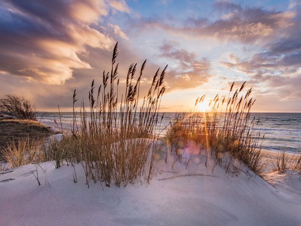 8 Tage Norderney Inselhotel Vier Jahreszeiten mit ÜF, Niedersachsen inkl. Frühstück