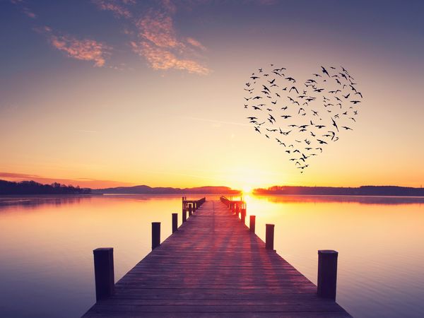 Komposition der Liebe in Neustrelitz Halbpension