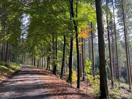 5 Tage Aktiv- und Familienauszeit in der Winterberger Bergwelt mit Halbpension