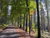 5 Tage Aktiv- und Familienauszeit in der Winterberger Bergwelt mit Halbpension