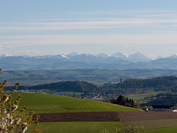 Willkommen im Strudengau! 4 Nächte Urlaub mit HP im Landgasthof Schiefer Zur Zugbrücke
