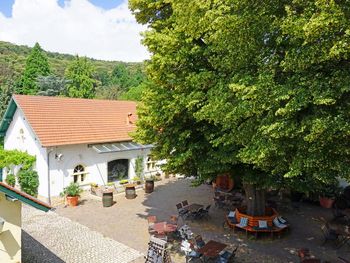 Auszeit mit Wein & Kulinarik - Freitags-Special