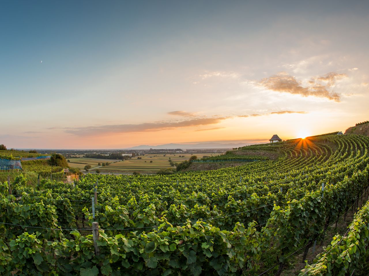 Kurzreise am Kaiserstuhl