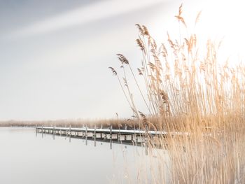 Erholung in Rust am Neusiedlersee am Neusiedler See - 3 Tage mit Frühstück