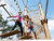 3 Tage Kurzurlaub mit HP+ im Heide Park Holiday Camp