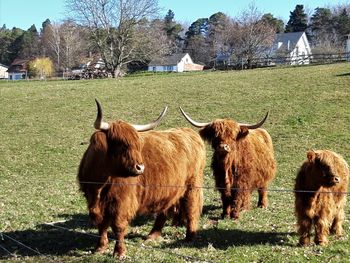 2 Tage im Schwarzwald für Champagnerliebhaber