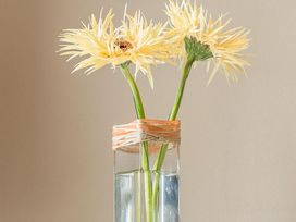 2 Tage im Schlosshotel - mit Blick auf Würzburg