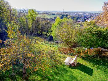 Urlaubswoche im Odenwald: Fachwerk und Weinberge