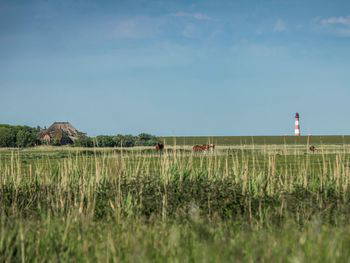 3 Tage Nordsee – Entspannen in Westerhever