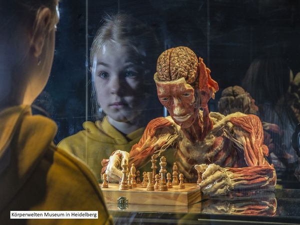 Kurz-mal Heidelberg mit Körperwelten Museum – 2 Tage in Bad Schönborn Frühstück