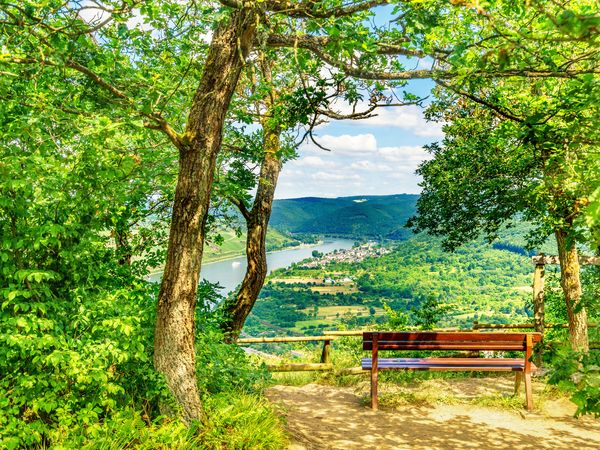 7 Tage Rhein-Sommer-Spezial in Boppard, Rheinland-Pfalz inkl. Halbpension