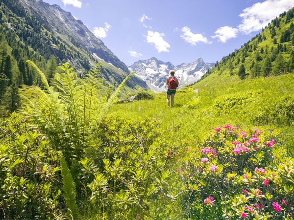 6 Tage Premium-Auszeit vom Alltag im Stubaital in Neustift im Stubaital Nur Übernachtung