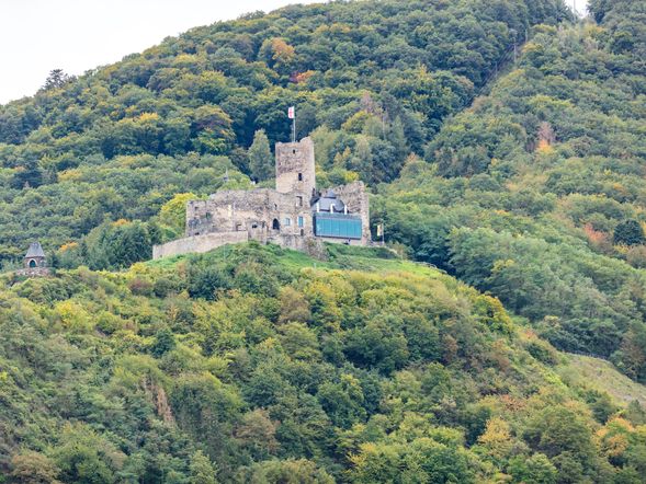 4 Tage mit Frühstück in Landshut an der Isar