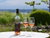 4 Tage Auszeit am Bodensee - Bio, Genuss & Ruhe pur!