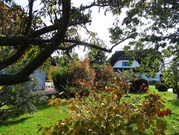 Bild 22 von 25