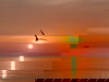 Sommerferien – 3 Tage Ostsee Kurztrip inkl. HP+