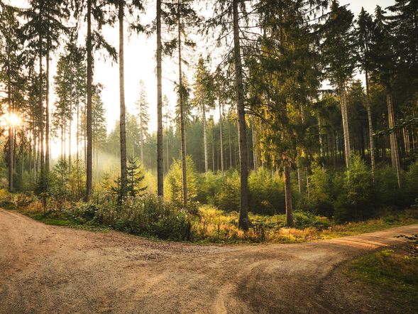 2 Tage Kurzurlaub mit Frühstück im Pytloun Wellness Hotel Hasištejn