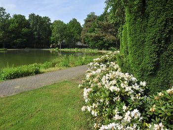 4 Tage im einzigartigen Naturgebiet Veluwe bei Arnhem