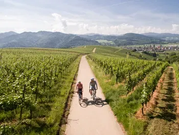 6=5 Wein - Genuss - Tage am Kaiserstuhl