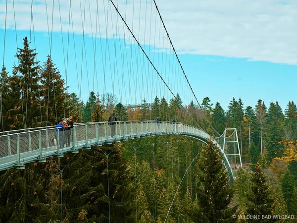 4 Tage Schwarzwald genießen mit Thermen und Attraktionen in Bad Wildbad, Baden-Württemberg inkl. Frühstück