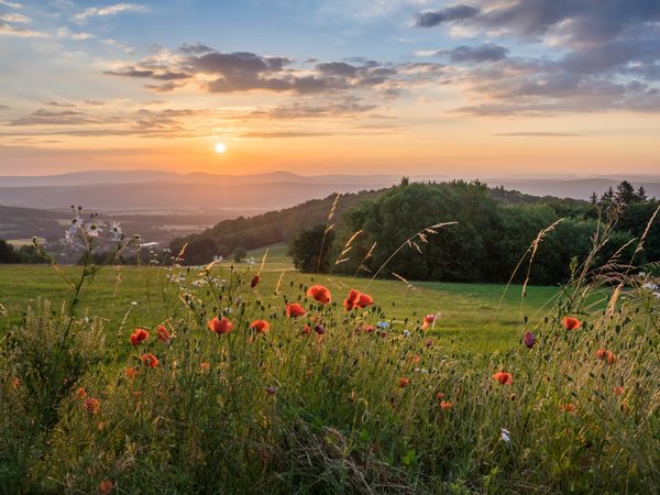 Schwarzwald für Individualisten | 4 Tage in Empfingen, Baden-Württemberg inkl. Frühstück