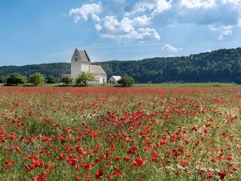 Wandertage auf dem Altmühl-Panoramaweg