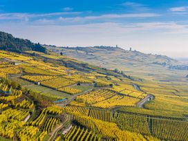 2 Tage Genussreise in die Europastadt Breisach m. HP