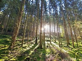 Wanderurlaub Pfälzerwald inkl. Halbpension | 5 Tage