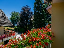 6 Tage - Bodensee Genuss!