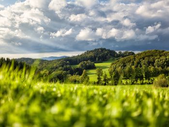 Bayerischer Wald für Individualisten / 6 Tage