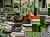 5 Tage Entspannung in Amsterdam