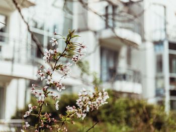 Auszeit vom Alltag in der Natur